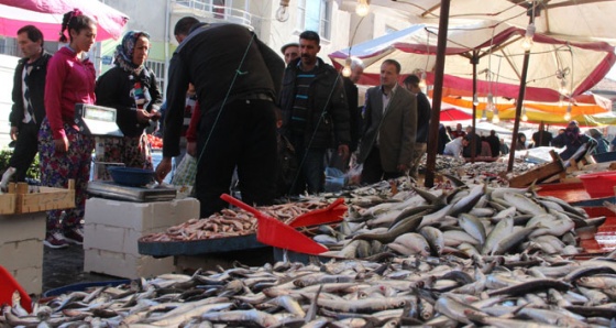 Balık fiyatları yarıya düştü