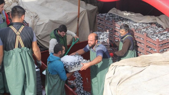 Balıkçı tekneleri hamsi dolu ambarlarla limana dönüyor