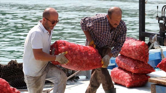 Balıkçılar rotayı salyangoza çevirdi