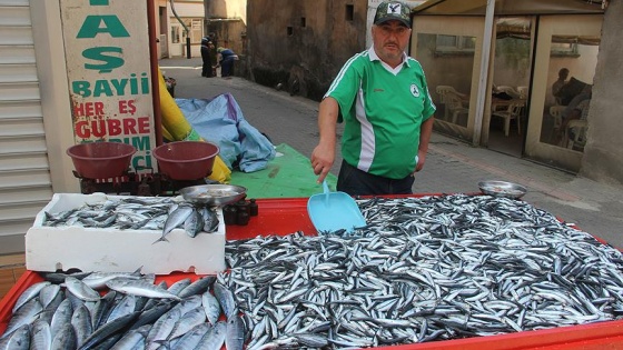 Balıkçılara erken hamsi avı uyarısı