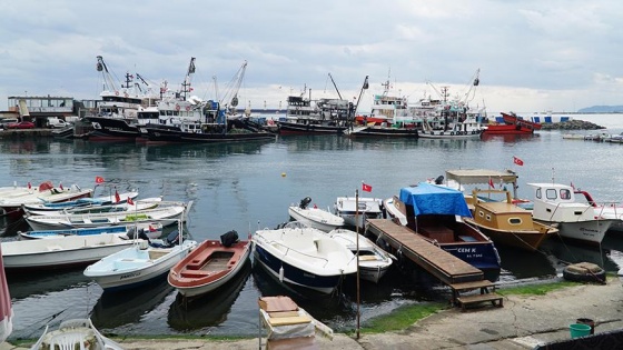 Balıkçıların yeni umudu lüfer