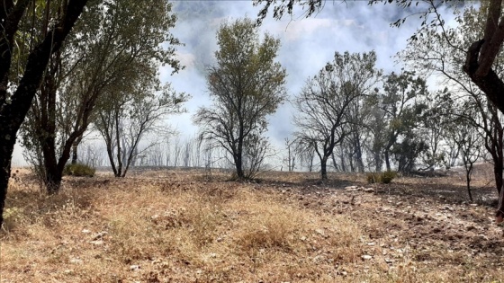 Balıkesir'in Dursunbey ilçesindeki yangın kontrol altına alındı