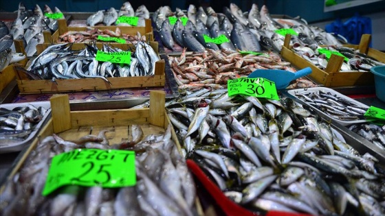 Balıkta uygun fiyat, yüksek arz için 'yasaklara riayet' uyarısı