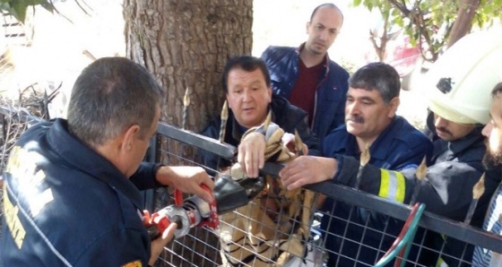 Balkondan korkuluğa düşen kadını itfaiye kurtardı