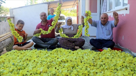 Bamyanın tarladan sofraya zahmetli yolculuğu