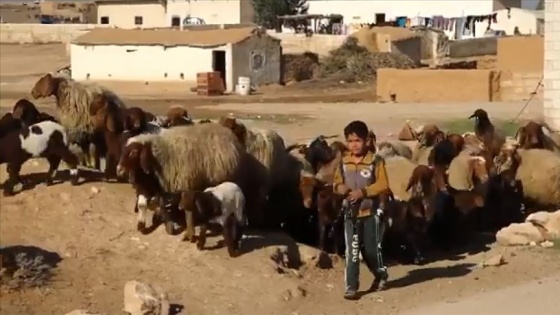 Barış Pınarı bölgesinde çocuklar terör baskısı olmadan okullarına gidiyor