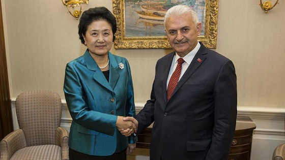 Başbakan Yıldırım, Liu'yu kabul etti