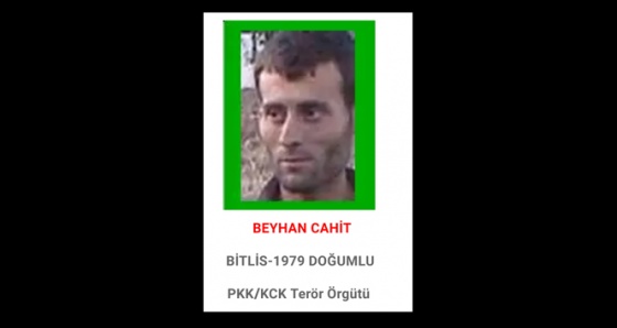 Başına 1 milyon TL ödül konulan terörist Bitlis'te öldürüldü