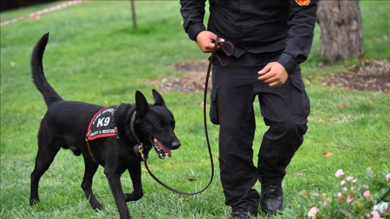 Başkent itfaiyesinin arama kurtarma köpekleri uluslararası göreve hazır