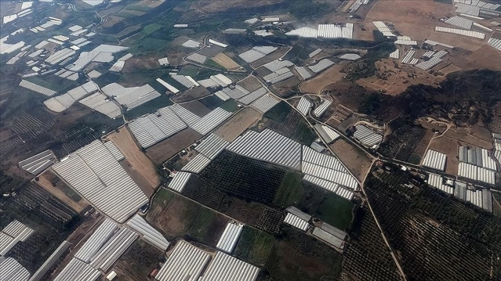 Batı Akdeniz'in ihracatı, Rusya-Ukrayna savaşına rağmen arttı