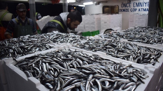 Batı Karadeniz'de balıkçılar hamsi bolluğuyla sevindi