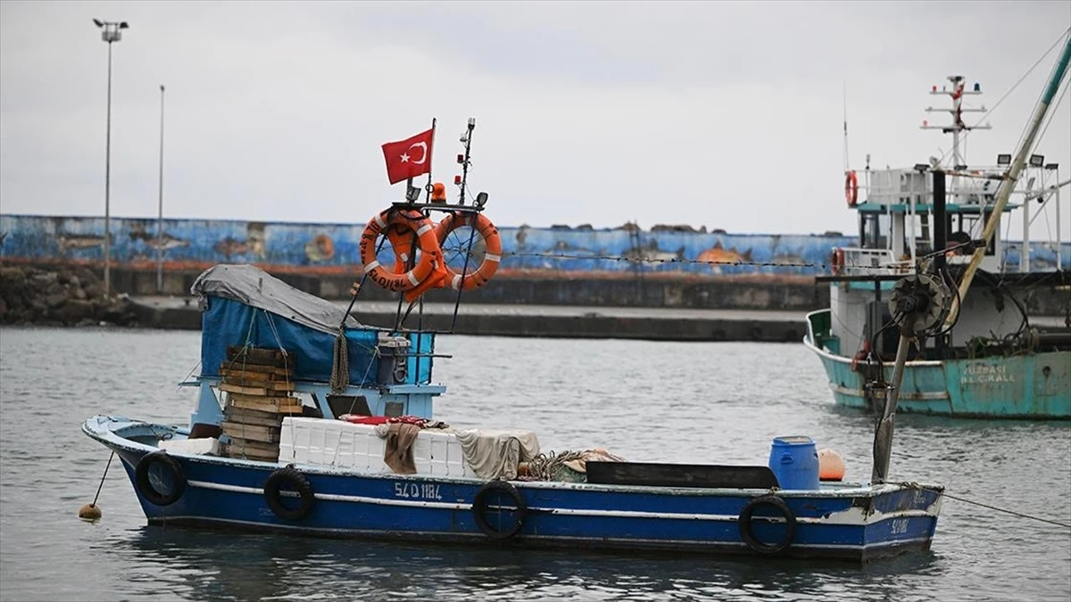 Batı Karadeniz'de kıyı balıkçıları, sezonun geri kalanından umutlu