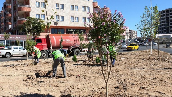 Batman Belediyesi vatandaşlara hizmeti yoğunlaştırdı