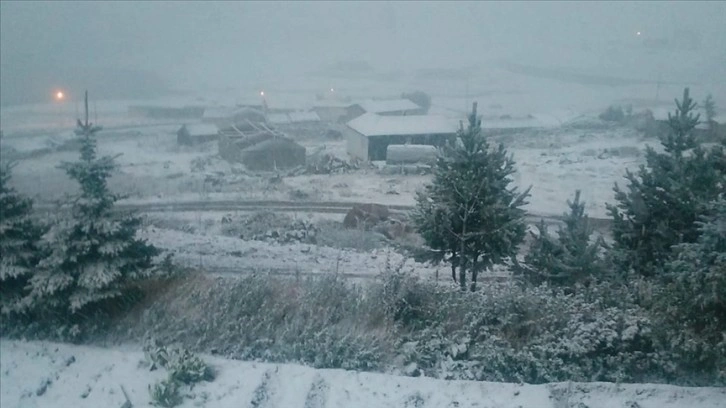 Bayburt, Erzurum ve Rize'nin yüksek kesimlerine kar yağdı