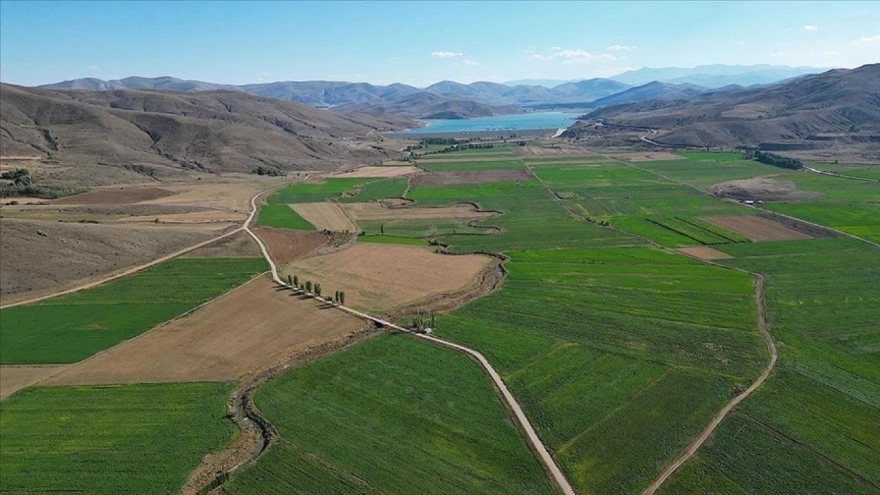 Bayburt'un modern sulamayla buluşan çorak arazilerinde üretim bereketi