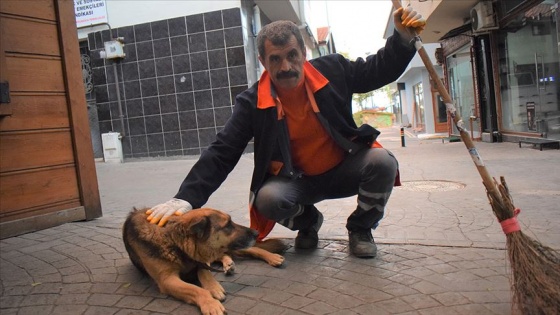 Bekçi köpeği belediye temizlik işçisinin can dostu oldu