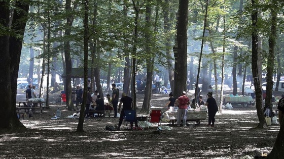 Belgrad Ormanı'nda yeni normalleşme yoğunluğu