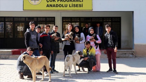 Beslediği köpeklerle öğrencilere hayvan sevgisi aşılıyor