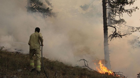 Bilecik'e sıçrayan orman yangını ilerlemeye başladı