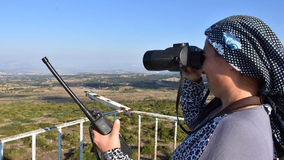 Bilecik'in ormanları ona emanet