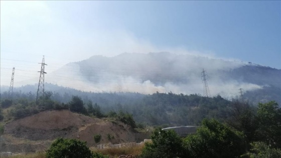 Bilecik'te çıkan orman yangınına müdahale ediliyor