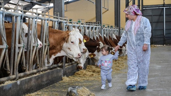 Bileziklerini satarak başladığı süt üreticiliğinde milyonluk tesis kurdu