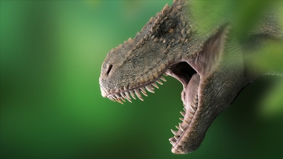 Bilim insanları, Avustralya'nın en büyük dinozor türünü keşfetti