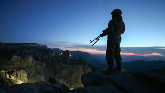 Bingöl'de 1 askeri şehit eden teröristlerin, Tunceli'de etkisiz hale getirildiği belirlend