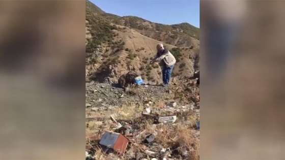 Bingöl'de kafası teneke kutuya sıkışan ayı kurtarıldı