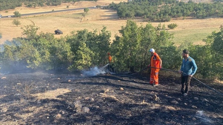 Bingöl'de çıkan orman ve örtü yangınları söndürüldü