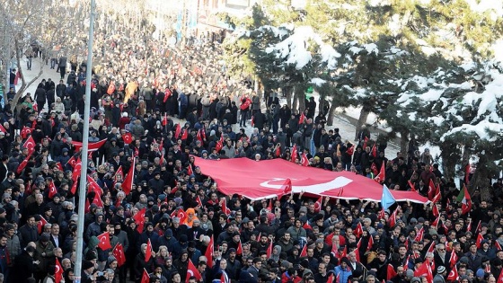 Bingöllüler 'Şehitlere Saygı ve Milli Birlik' için yürüdü