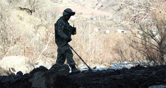 Bitlis’te 200 kilo EYP imha edildi