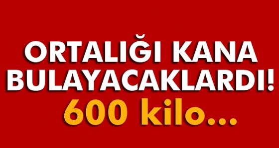 Bitlis'te 600 kilo el yapımı bomba ele geçirildi