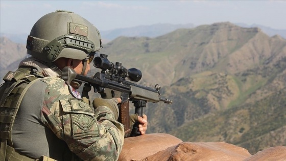 Bitlis'te Eren-11 operasyonları kapsamında bir terörist etkisiz hale getirildi