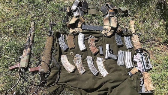 Bitlis'te etkisiz hale getirilen 3 PKK'lı teröristten birinin gri kategoride arandığı belirlendi