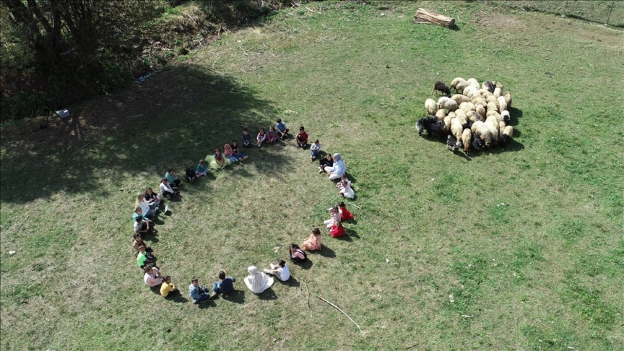 Bitlis'te öğretmenler öğrencileriyle doğada ders yapıyor