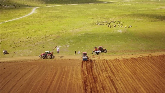 Bitlis'te sertifikalı patates tohumu ekimine başlandı