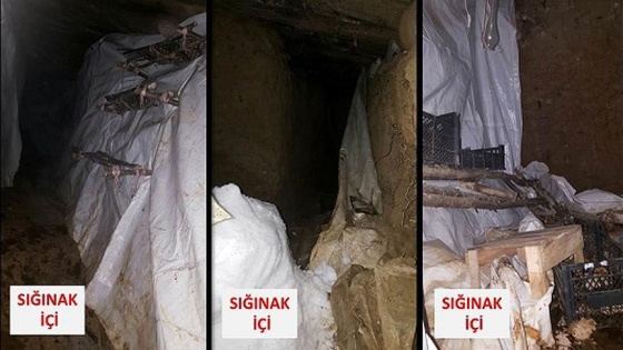 Bitlis'te terör operasyonu