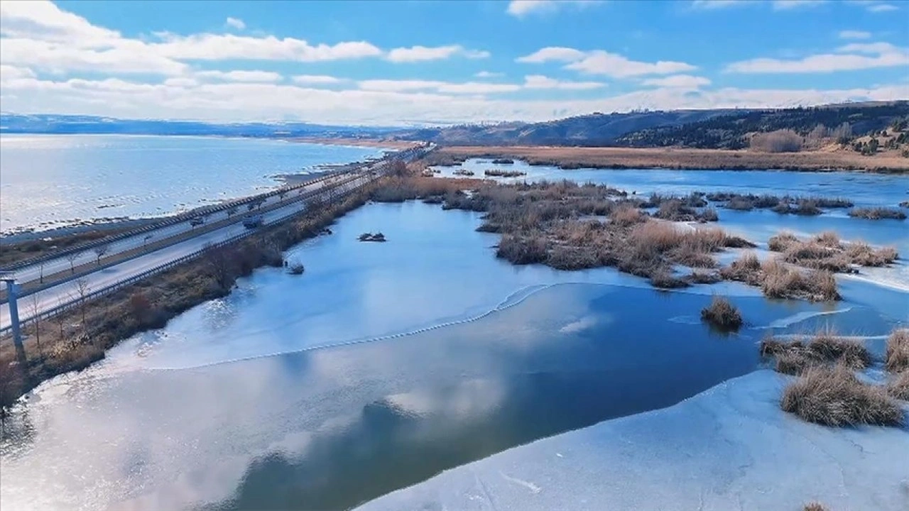 Bitlis'teki "kuş cenneti" yüzeyinin büyük bölümü buz tuttu