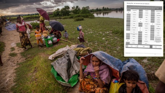 BM'den Arakanlı Müslümanlar için 'yeni mekanizma' kararı