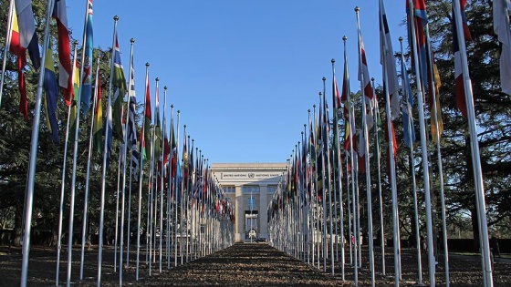 BM komisyon üyesinden ABD'ye 'kırmızı çizgi' eleştirisi