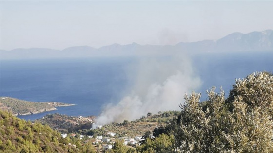 Bodrum'da çıkan orman yangını kontrol altına alındı