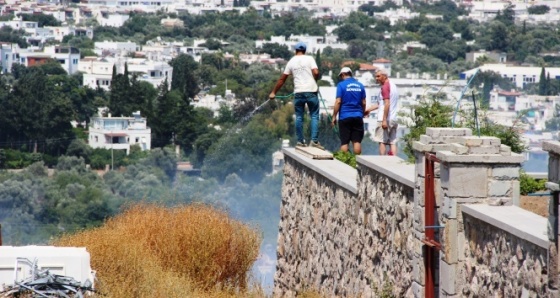 Bodrum’da lüks sitelerin bulunduğu arazide tüp patladı