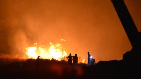 Bodrum'da makilik alanda yangın