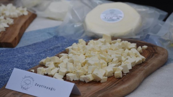 Bodrum'da Uluslararası Peynir Festivali başladı