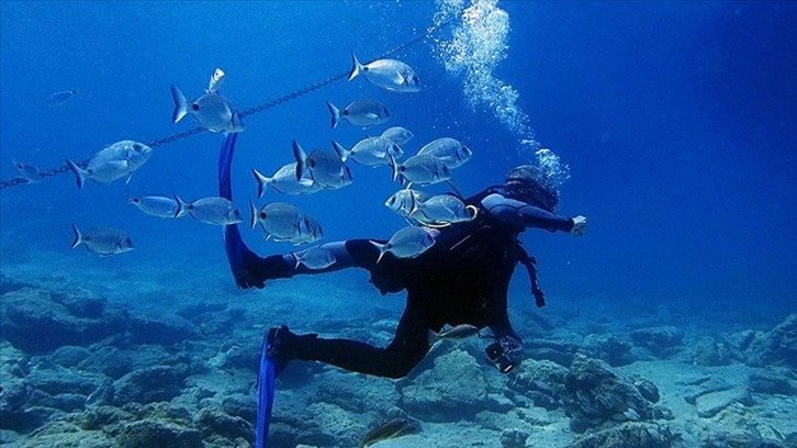 Bodrum, su altı zenginlikleriyle ziyaretçilerini ağırlıyor