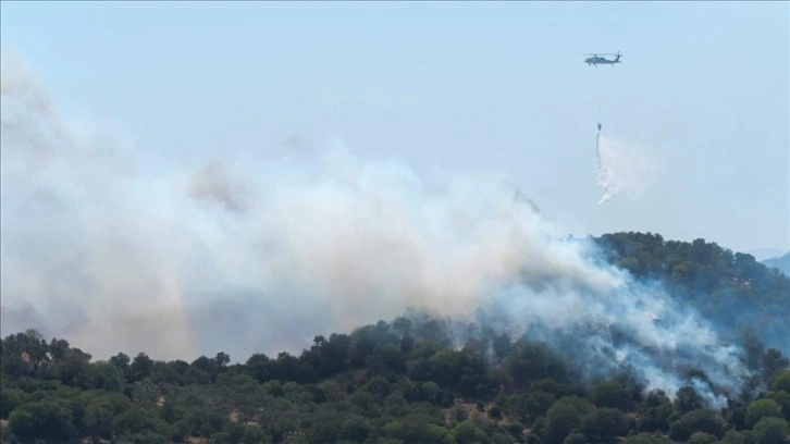 Bodrum'da makilik alandan zeytinliğe sıçrayan yangın kontrol altına alındı