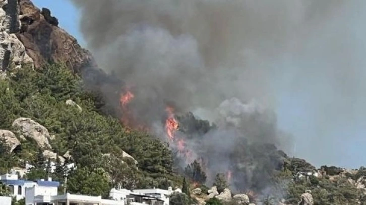 Bodrum'da makilik ve otluk alanda çıkan yangın kontrol altına alındı