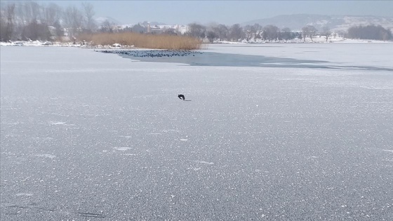 Bolu'da aşırı soğuk yüzünden çeşmeler dondu Yeniçağa Gölü buz tuttu