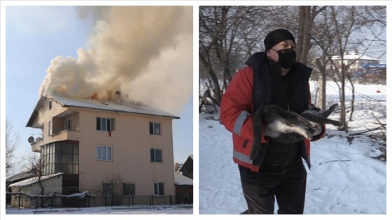 Bolu'da dumandan etkilenen kedi kalp masajıyla hayata döndürüldü